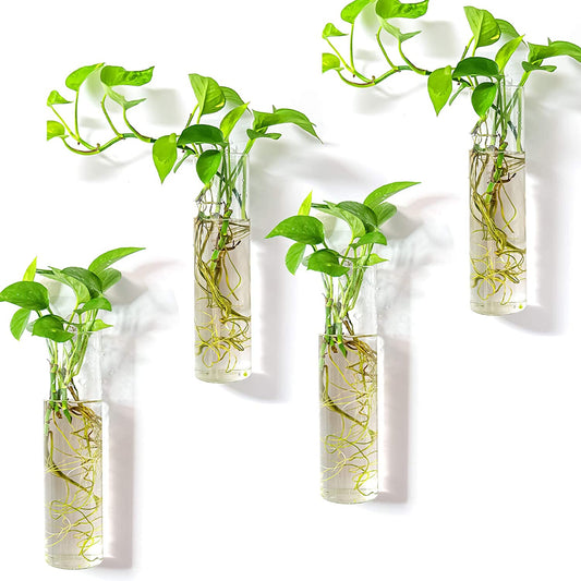 Wall-Mounted Plant Terrarium Propagation Station - 4 Cylinder Hanging Glass Tubes Planter for Hydroponic Plants, Indoor Wall Vases & Decorative Plant Holder Bathroom Office Living Room Decor